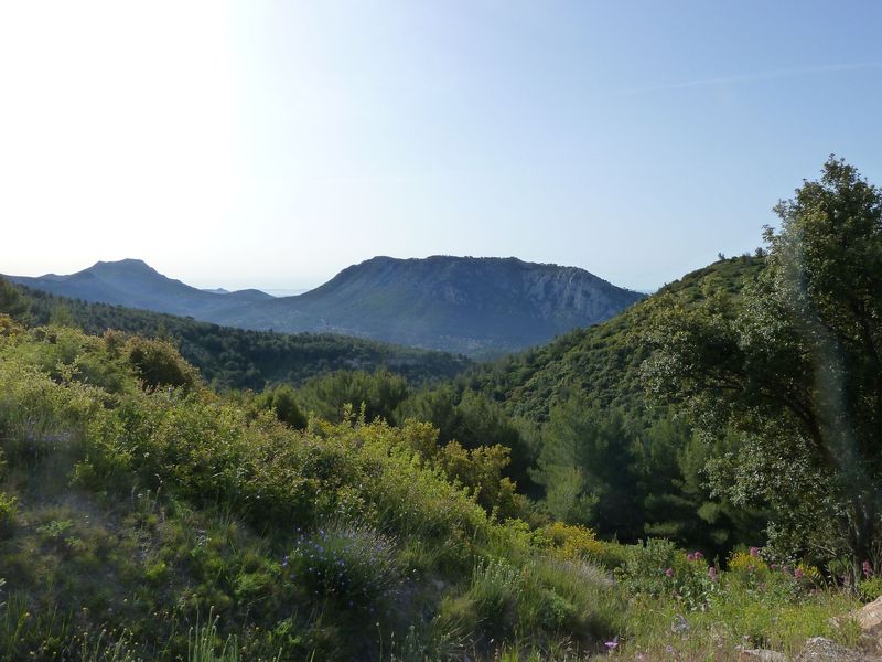 la_limate_mai_2012_006.jpg