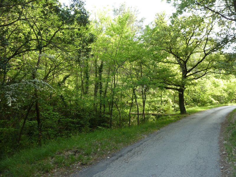 la_limate_mai_2012_012.jpg