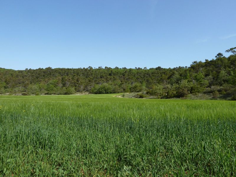 la_limate_mai_2012_026.jpg