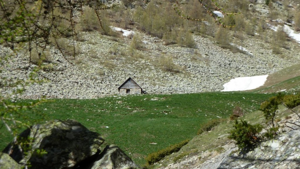 P1140548.JPG