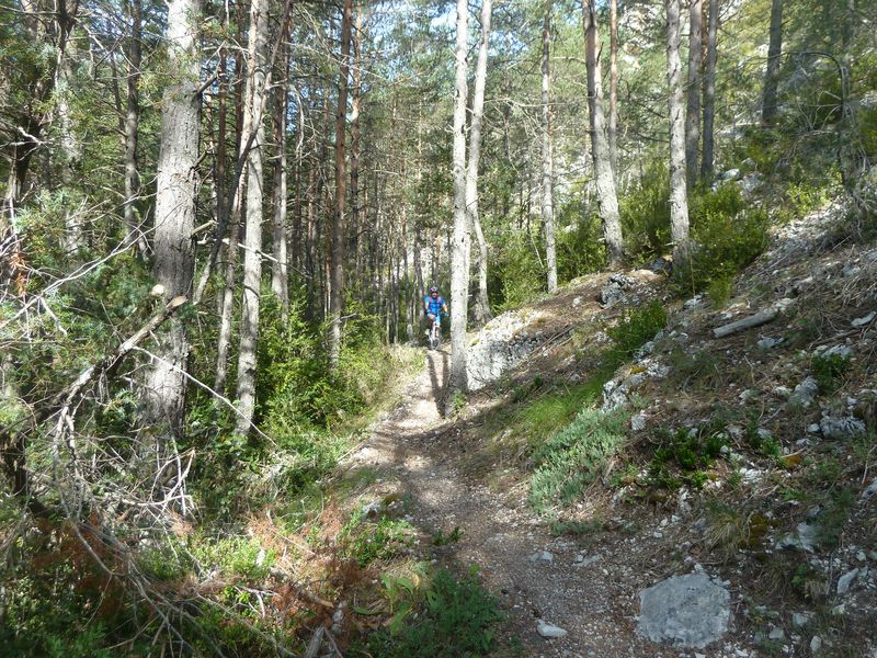 tour_de_piegut_2011_059.jpg