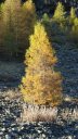 lan_onnet_oct_2016_013.JPG