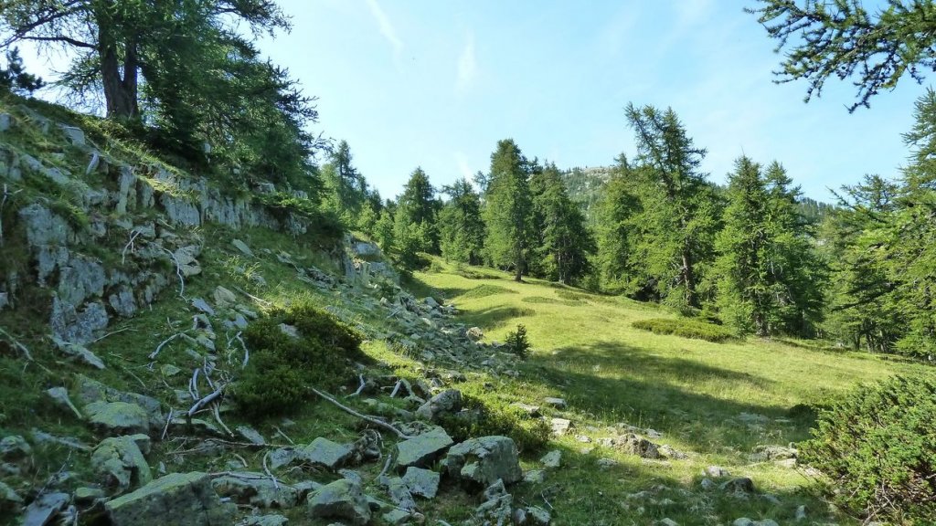 laupon_aout_2014_100.jpg