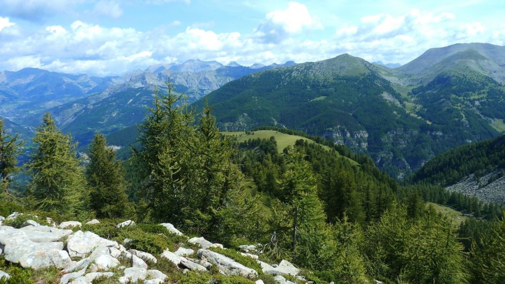 laupon_aout_2014_220.jpg