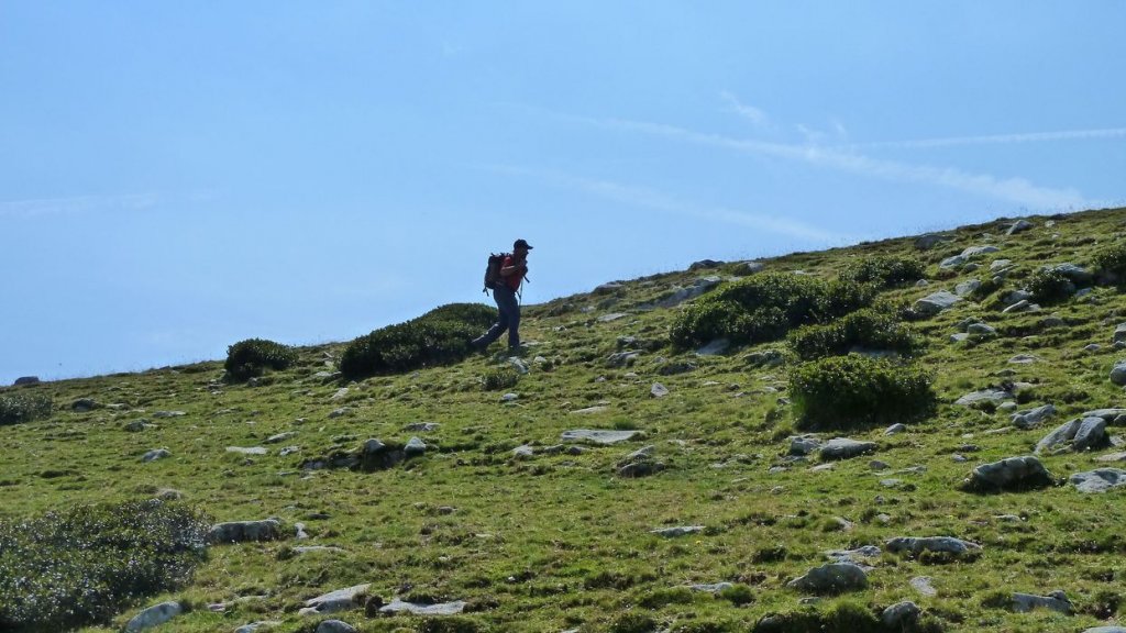 laupon_aout_2014_248.jpg