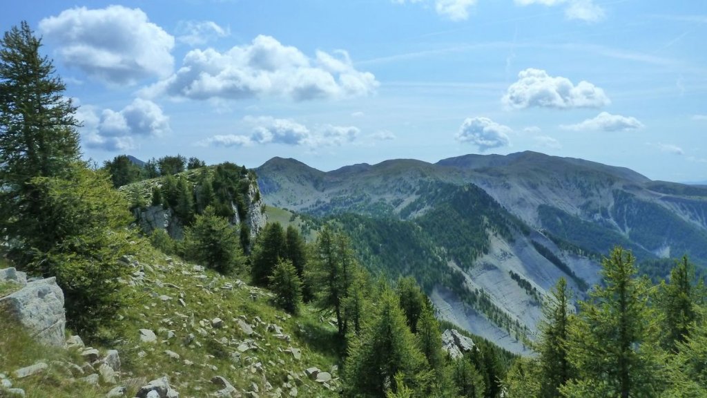 laupon_aout_2014_346.jpg
