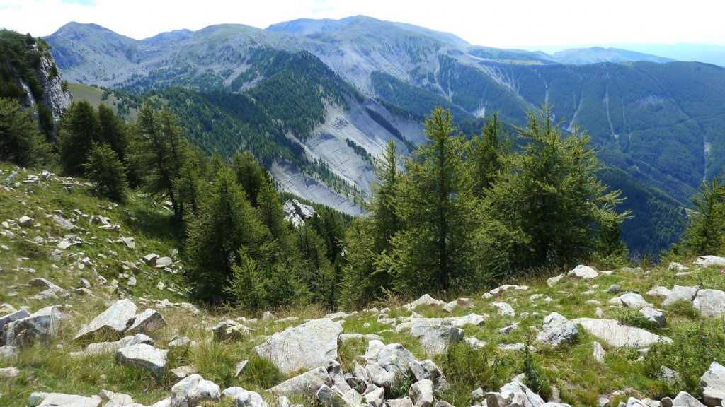 laupon_aout_2014_348.jpg