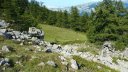 laupon_aout_2014_134.jpg