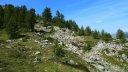 laupon_aout_2014_168.jpg