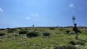 laupon_aout_2014_250.jpg