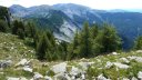 laupon_aout_2014_348.jpg