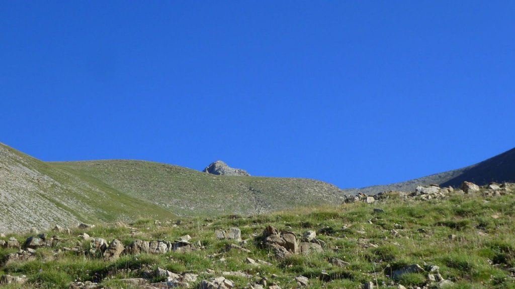cimet_juillet_2016_043.JPG