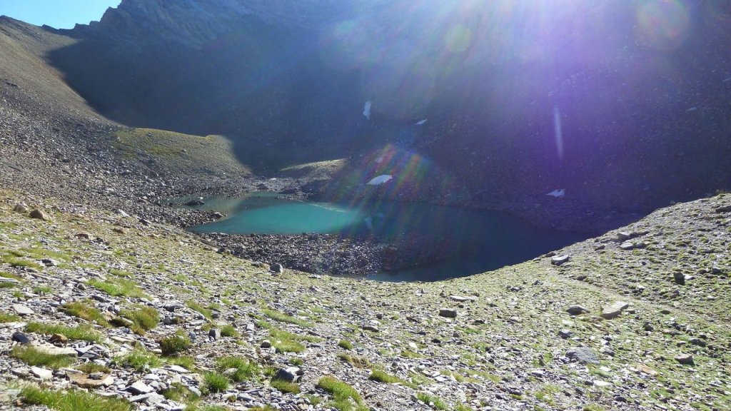 cimet_juillet_2016_057.JPG