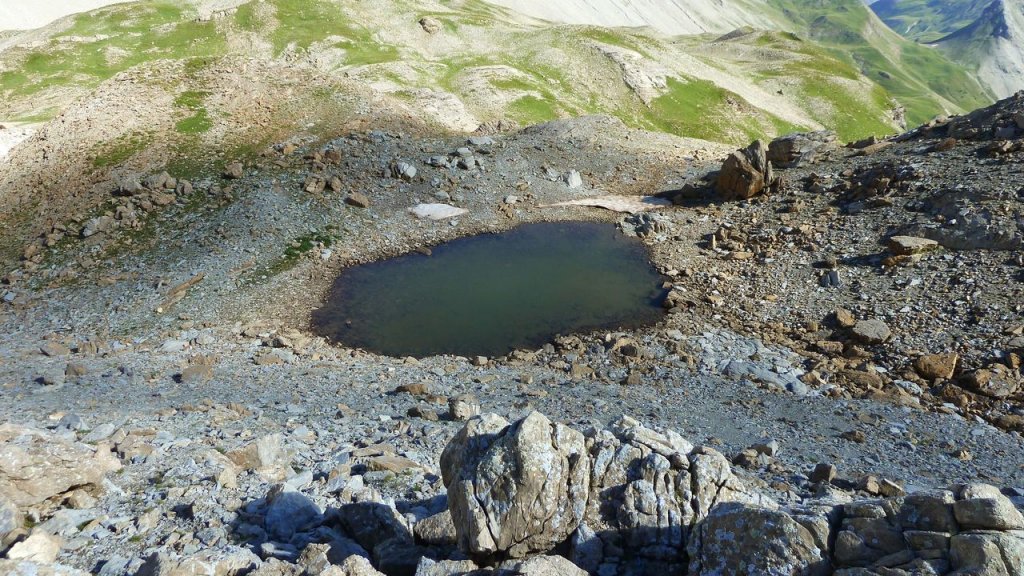 cimet_juillet_2016_103.JPG