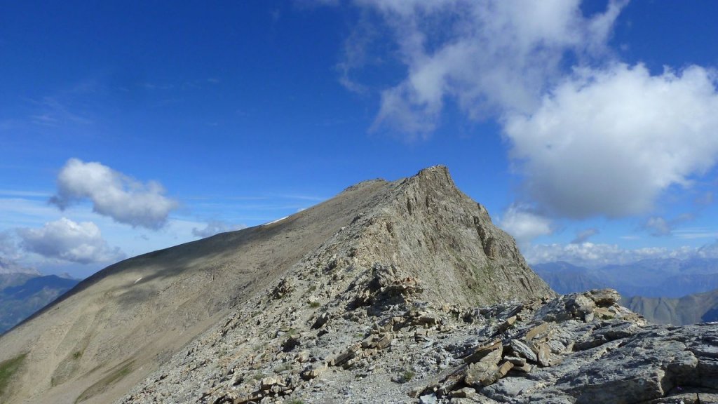 cimet_juillet_2016_143.JPG