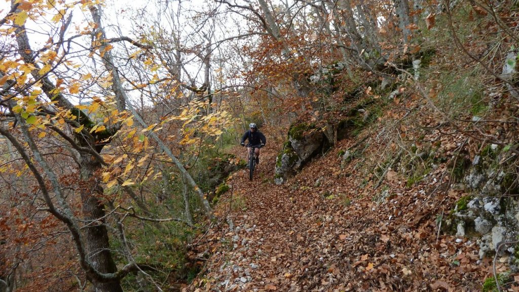 le_poil_nov__2013_154.jpg