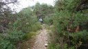 le_poil_nov__2013_164.jpg