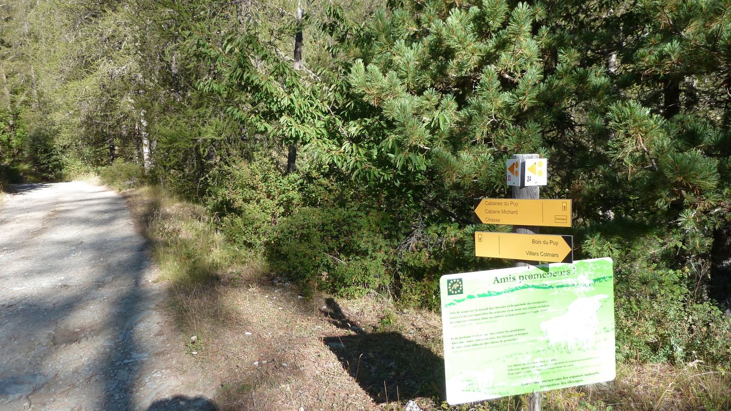 le_puy_chasse_aout_2017_010.JPG