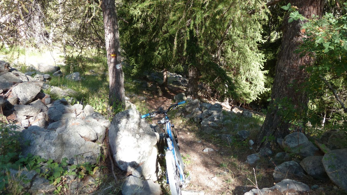 le_puy_chasse_aout_2017_028.JPG