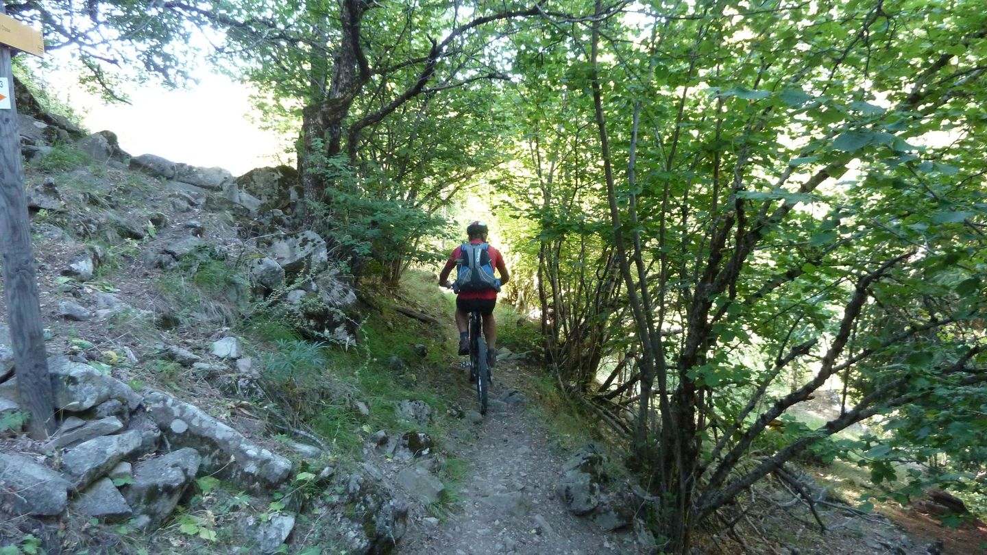 le_puy_chasse_aout_2017_106.JPG