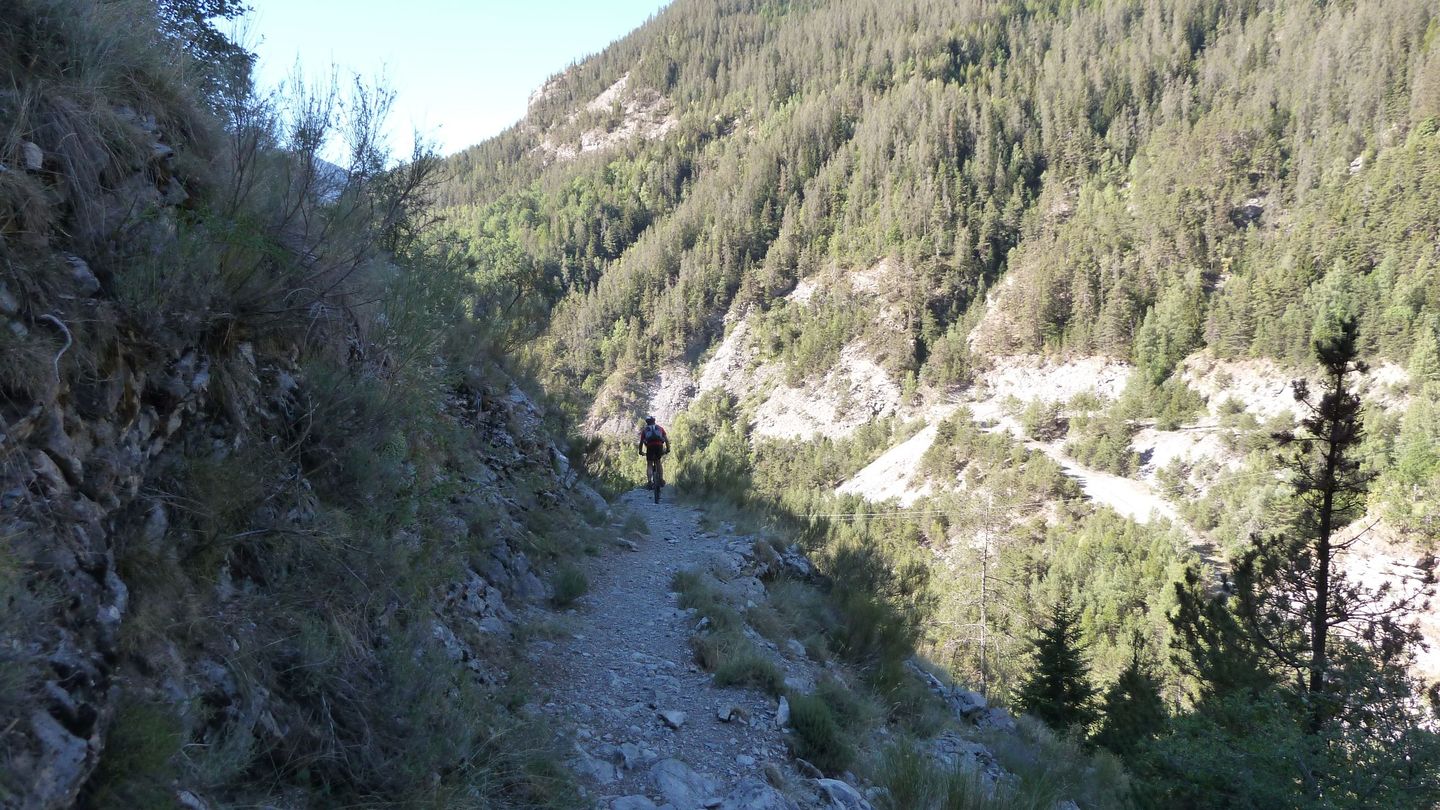 le_puy_chasse_aout_2017_118.JPG