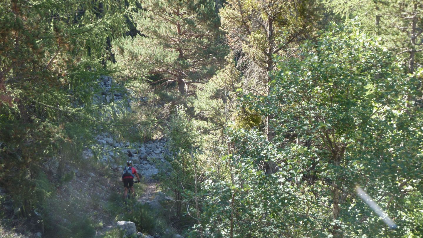 le_puy_chasse_aout_2017_124.JPG