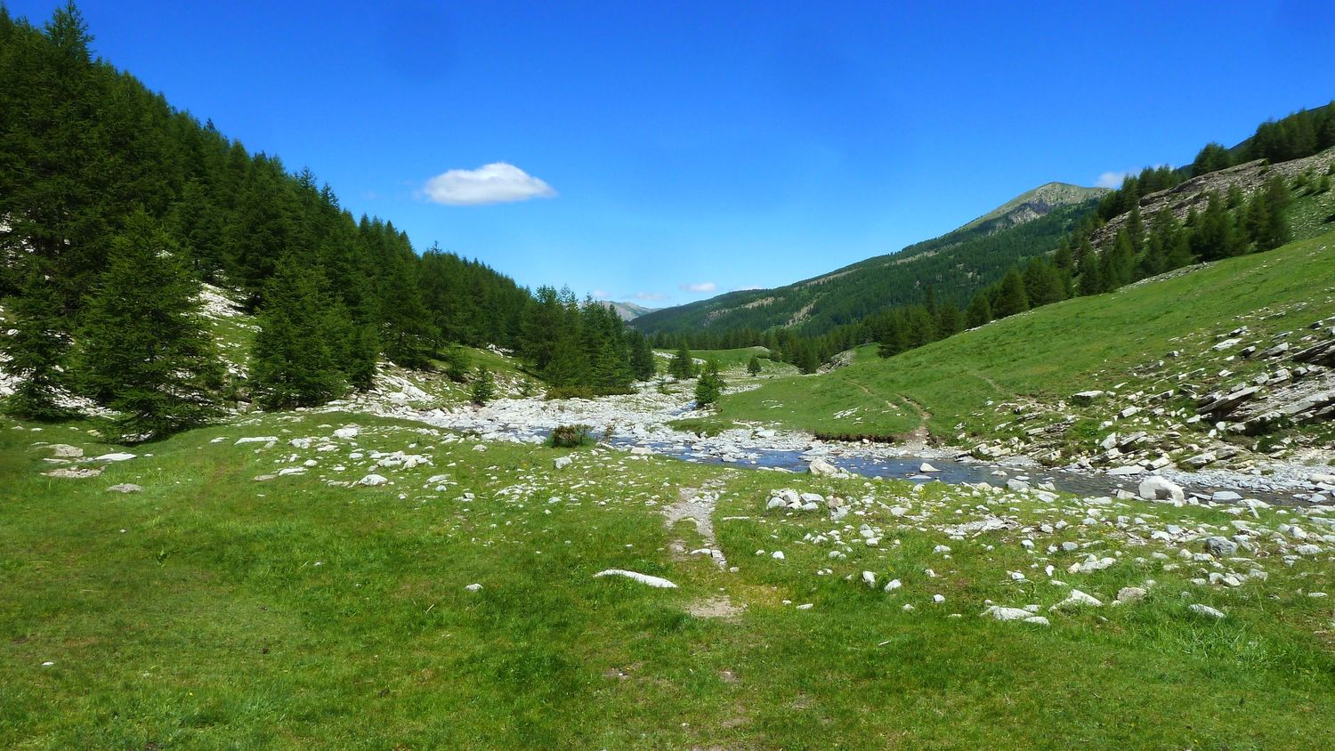 lignin_juillet_2018_149.JPG