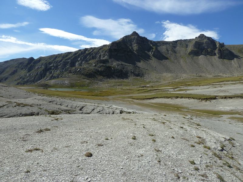 lignin_aout_2011_083.jpg
