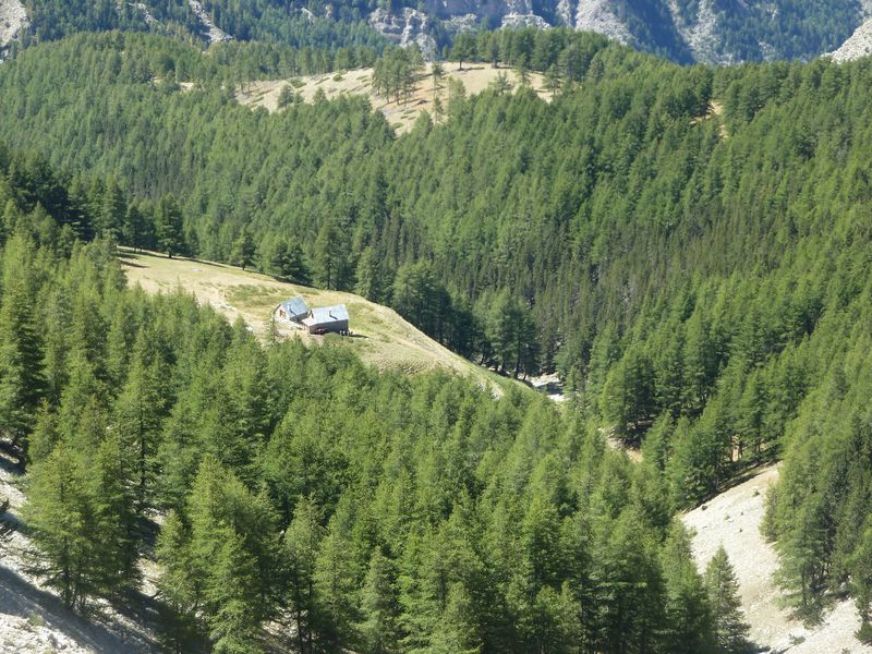 lignin_aout_2011_151.jpg