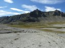 lignin_aout_2011_085.jpg