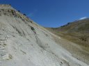 lignin_aout_2011_147.jpg