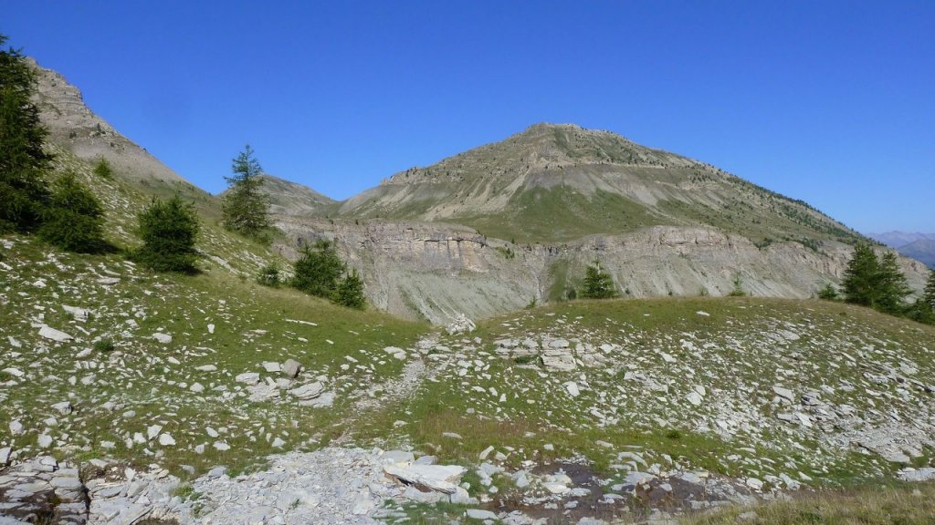 lignin_juillet_2016_053.JPG