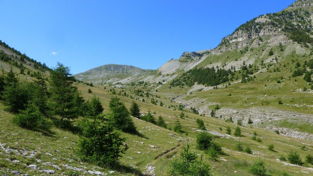 lignin_juillet_2016_153.JPG