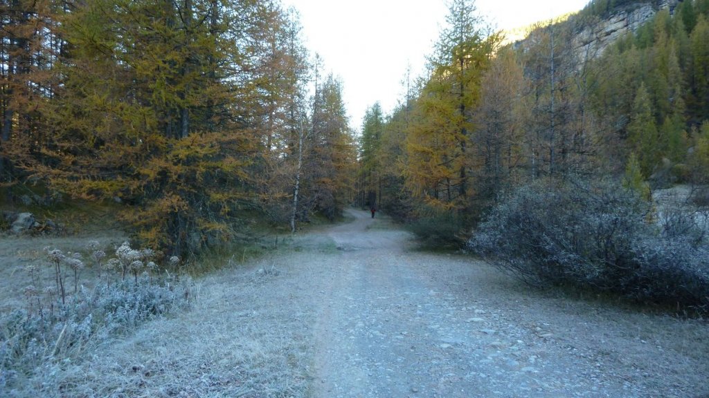 P1100575.JPG