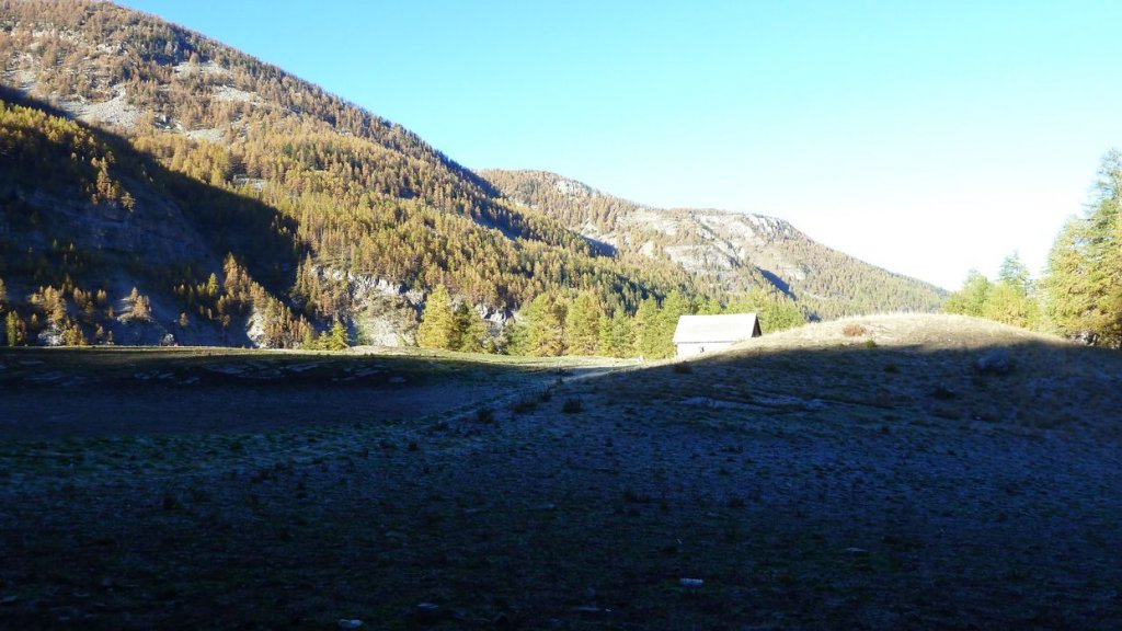 P1100584.JPG