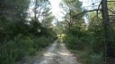 limate_juin_2018_035.JPG