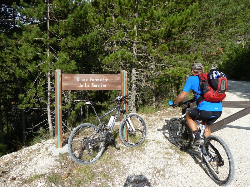 maurel_2011_015.jpg