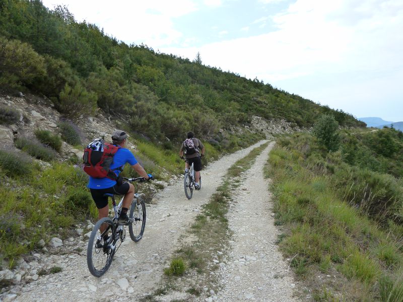 maurel_2011_017.jpg