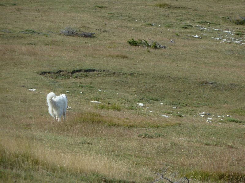 maurel_2011_021.jpg