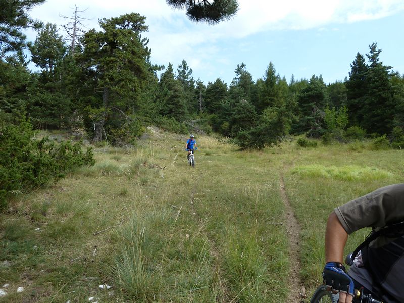 maurel_2011_035.jpg