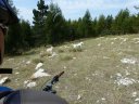 maurel_2011_033.jpg