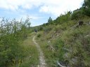 maurel_2011_045.jpg