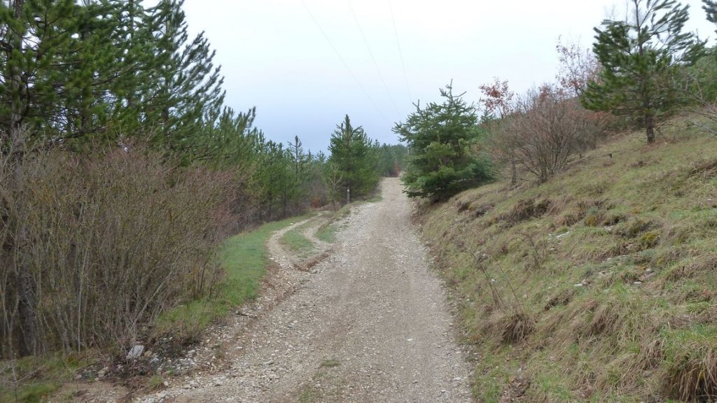 meouilles_angles_avril_2013_018.jpg
