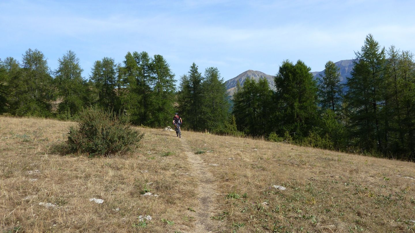cabane_meyries_2017_103.JPG