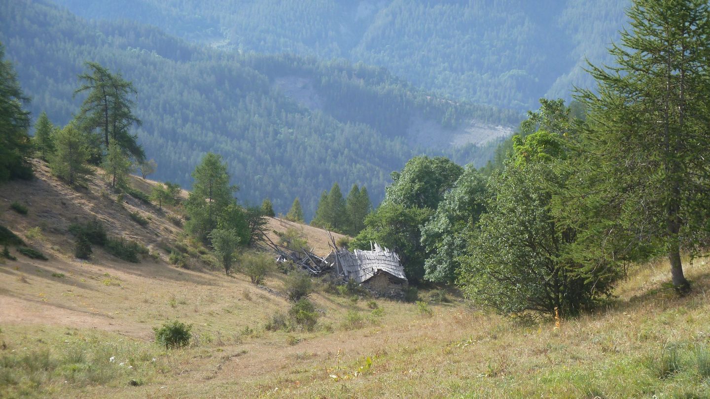 cabane_meyries_2017_118.JPG