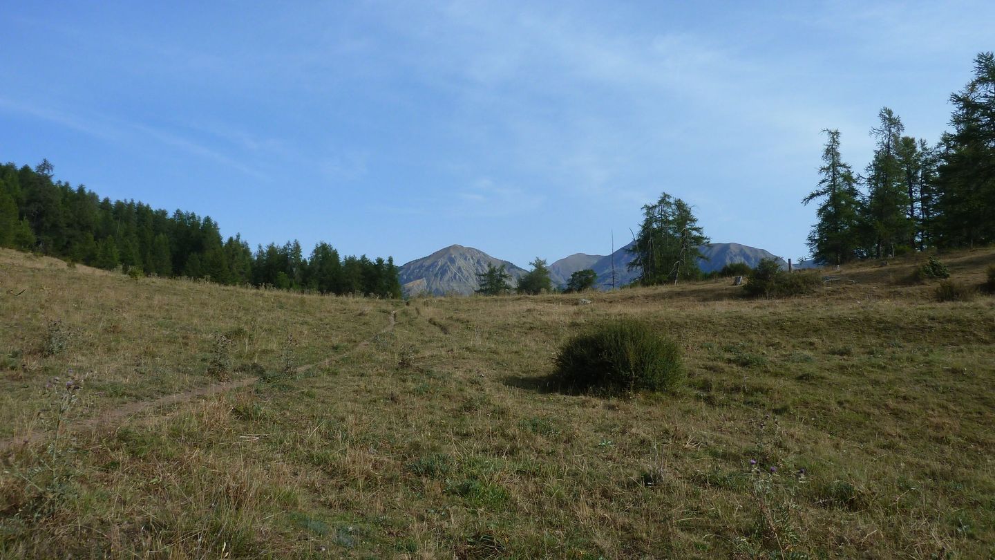 cabane_meyries_2017_121.JPG