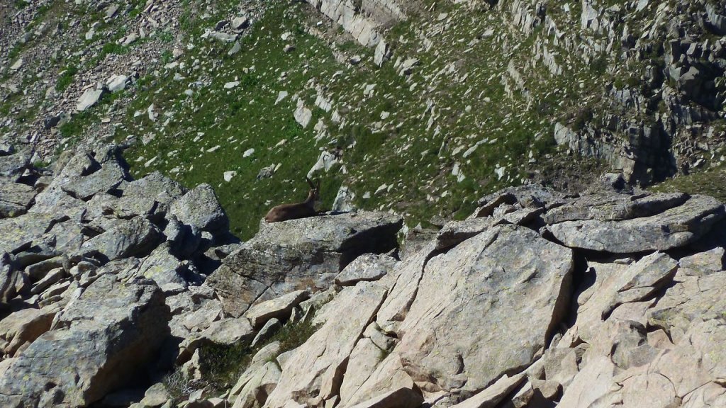 montagne_avalanche_juillet_2016_049.JPG