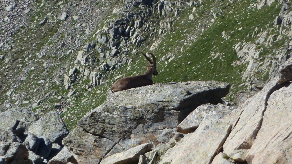 montagne_avalanche_juillet_2016_055.JPG