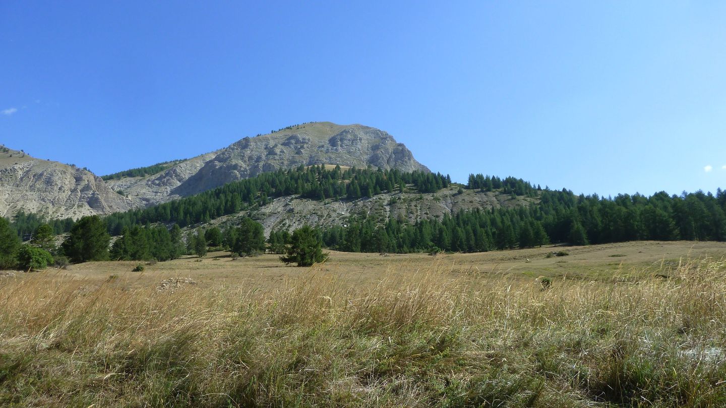montgros_2017_067.JPG