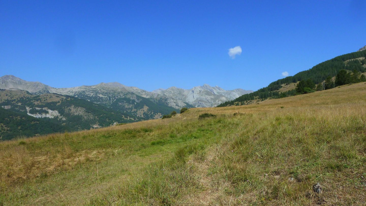 montgros_2017_073.JPG